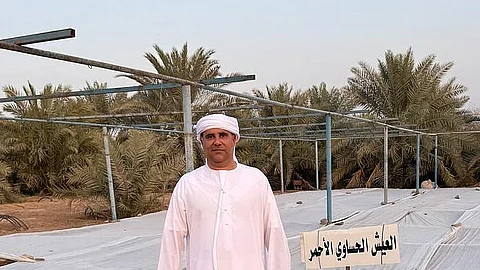 ناصر المزروعي