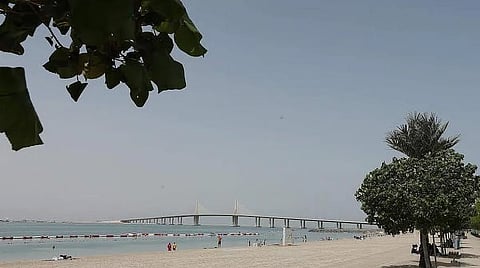 "بيئة أبوظبي": ديدان البحر على شاطئ البطين ظاهرة طبيعية وغير ضارة