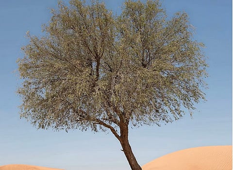 الصورة المستخدمة لأغراض التوضيح