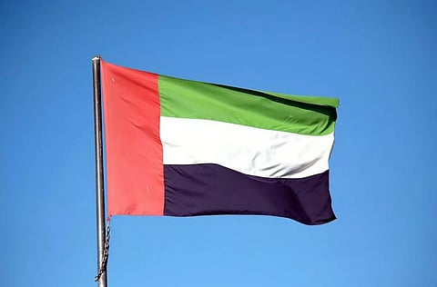 سفارة الإمارات في تركيا تحذر مواطنيها من حرائق الغابات