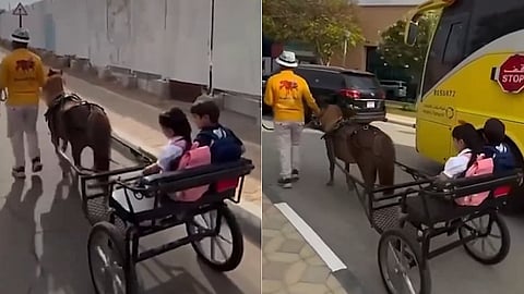 بمركبة يجرها مهر: أشقاء في الإمارات يذهبون إلى المدرسة بطريقة فريدة