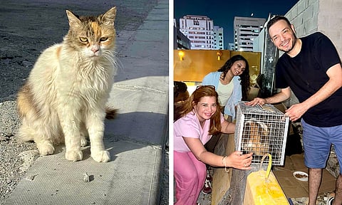 الصور: تشيكو سينغ