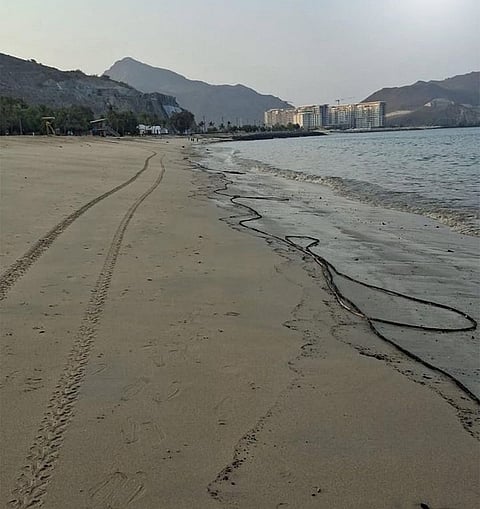 الصور: الانستغرام/بلدية خورفكان