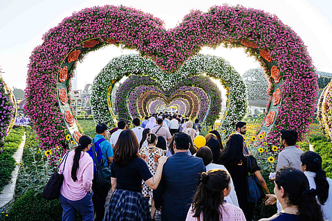 صورة KT: نيراج مورالي