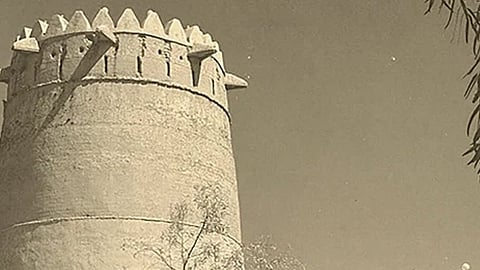 الصورة: موقع متحف العين