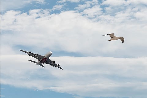 الصورة: وكالة فرانس برس