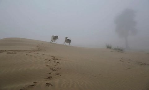 الصورة: ملف KT