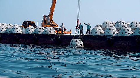 الصور: وزارة التغير المناخي والبيئة في دولة الإمارات العربية المتحدة