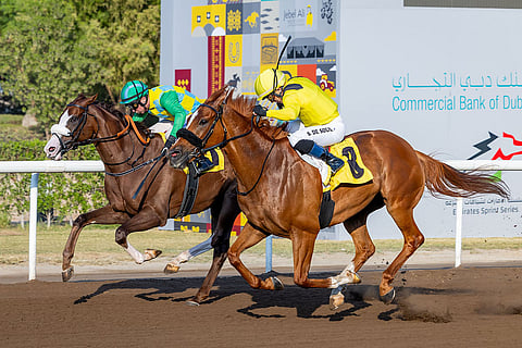 الرائد وسيلفستر دي سوزا (بالأصفر) يلحقان بمورنينغ، الذي يقوده تادغ أوشي، ليفوزا بكأس افتتاح الموسم في وقت سابق من هذا الشهر. الصورة: هيئة سباقات الإمارات