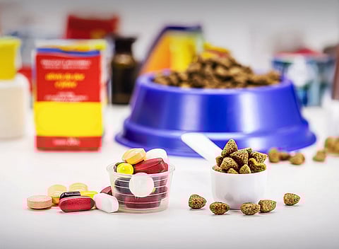 قانون إماراتي يجرّم تداول المنتجات البيطرية غير الآمنة