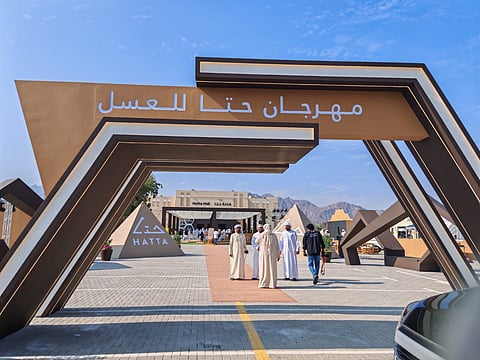 "مهرجان حتا"..صناعة العسل الإماراتي من الهواية إلى الريادة العالمية