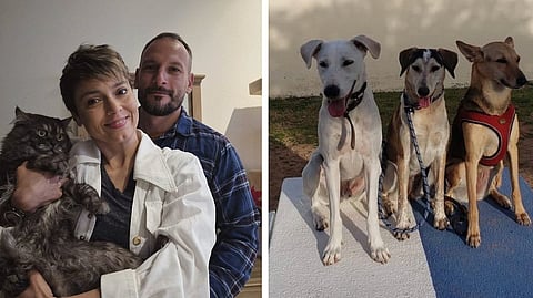 أبوظبي تفتح أبوابها للحيوانات الأليفة..نقلة نوعية في قطاع الضيافة والسياحة