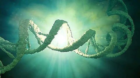 أبوظبي تقدم أول حقنة علاج جيني لاضطرابات الدم الوراثية