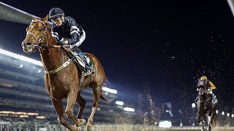 دبي تدعم أطفال التوحد بأول سباق خيول في المنطقة