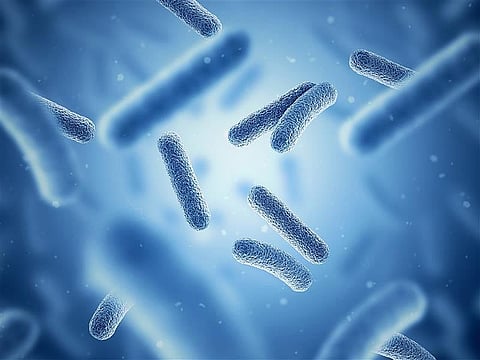 "سي إي فينتشرز" تستضيف ندوة "ثورة الميكروبيوم" في دبي