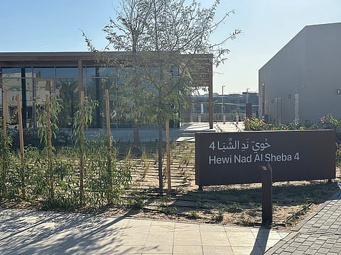 صور كي تي: رقية القايدي