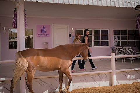 كريستالين إيكواين