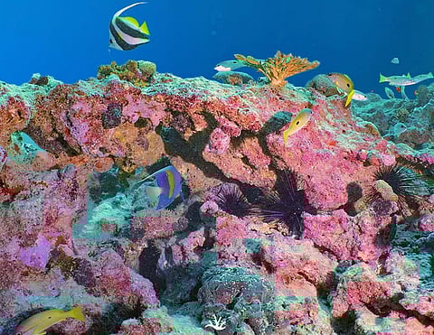 صورة تستخدم لغرض توضيحي