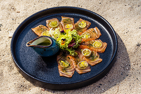 نكهة بحرية مبدعة لمائدتك الرمضانية الراقية