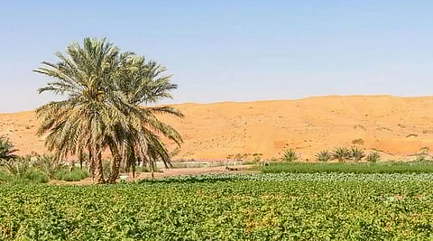 صورة تستخدم لغرض توضيحي