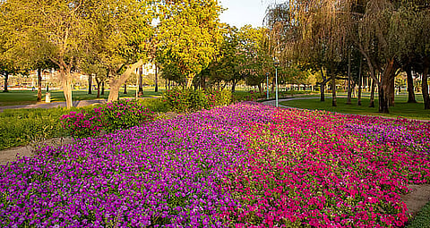 صورة تستخدم لأغراض توضيحية