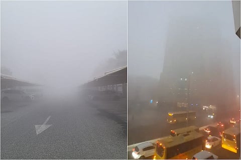 زحفت السيارات ببطء على طول الطرق السريعة الرئيسية