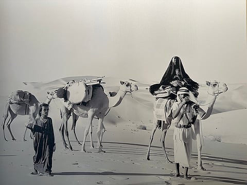 قافلة جمال مع عائلات بدوية، عصب 1960