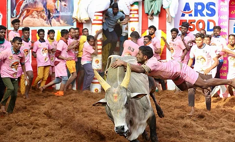 அலங்காநல்லூர் ஜல்லிக்கட்டுப் போட்டி நிறைவு: கார்த்திக் முதலிடம்