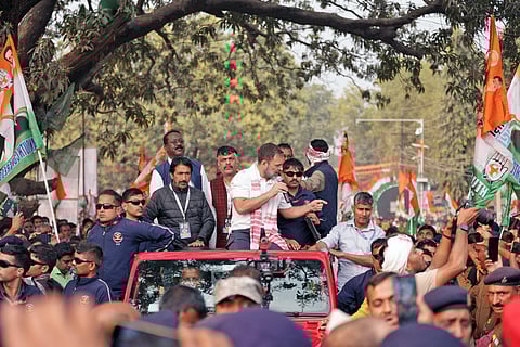 நாய் பிஸ்கெட் சர்ச்சை - பாஜகவுக்கு ஏன் நாய்களை பிடிக்கவில்லை?: ராகுல் காந்தி பதிலடி