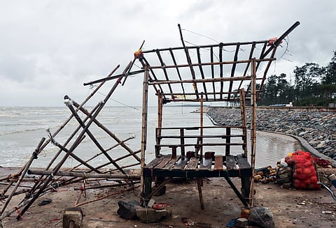 எதிர் புயல்களும், அலையாத்தி காடுகளும்: டானா புயலின் தாக்கம் குறைந்தது எவ்வாறு?