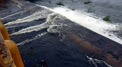 செம்பரம்பாக்கம் ஏரி 50 சதவீதம் நிறைந்தது!