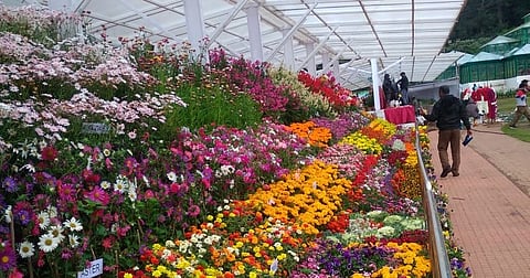 கோப்புப்படம்