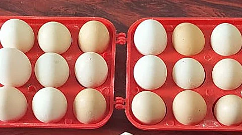 வரலாறு காணாத உச்சத்தை எட்டிய முட்டையின் விலை!
