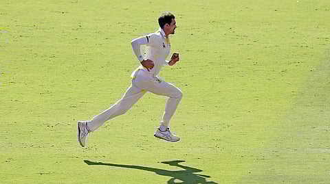 ஸ்டார்க்