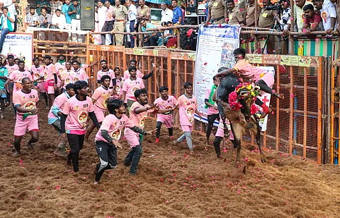 பாலமேடு ஜல்லிக்கட்டு நிறைவு!