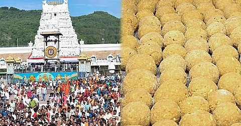 திருப்பதி லட்டு விவகாரம்: திண்டுக்கல் ஏ.ஆர். டெய்ரி நிறுவனத்தின் தலைவர் கைது!