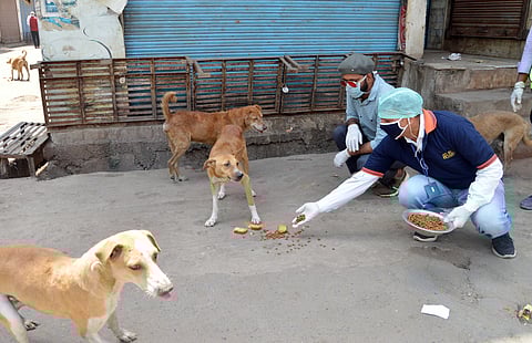 கோப்புப்படம்