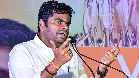 அண்ணாமலை - கோப்புப்படம்