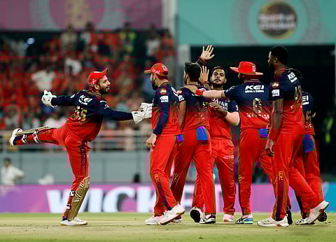 பஞ்சாபை ஊதித் தள்ளி இறுதிச் சுற்றுக்கு முன்னேறிய ஆர்சிபி!