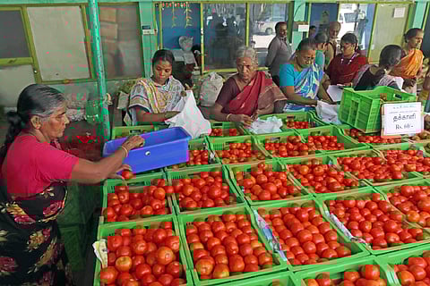 சென்னையில் தக்காளி விலை கிடுகிடு உயர்வு!
