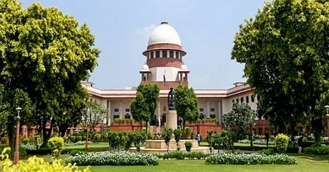 தில்லியில் தெருநாய்களை அப்புறப்படுத்துவதற்கு எதிராக மனு: தீர்ப்பை ஒத்திவைத்த உச்ச நீதிமன்றம் | Stray Dogs