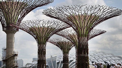 Smart trees made out of waste material to help collect rainwater in Indore