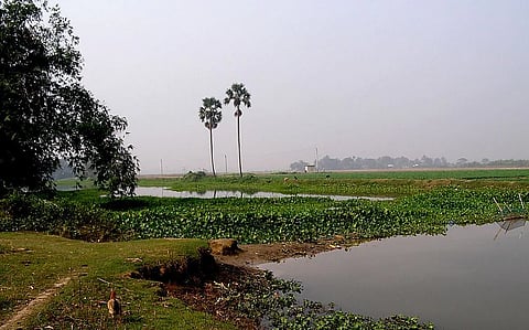 Clean Ganga mission to get a boost in Uttar Pradesh with organic farming by river banks