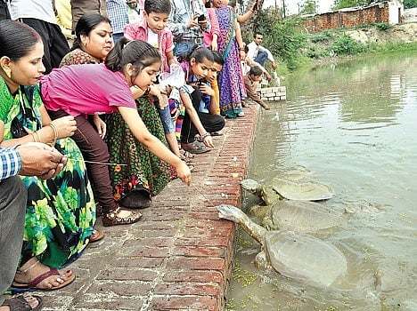 कानपूर के ऐतिहासिक कछुआ तालाब का 70 लाख रूपए में किया जा रहा सुंदरीकरण