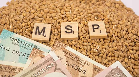 सरकार ने खरीफ फसलों के MSP में 4-9% की बढ़ोतरी की,जानें MSP क्या है और कृषि क्षेत्र में इसका महत्त्व