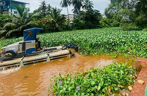 WRD begins the work of de-weeding Mapusa river in Goa
