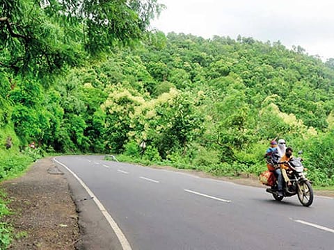 MP Transport Department instigates cap on bus permits for Indore-Khandwa route