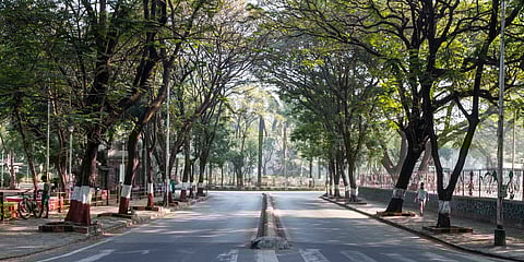 BMC to develop urban forest in Marol industrial area to reduce heat-island effect in the region