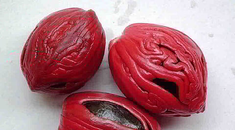 Mace Candy likely to be one of Goa's signature treats