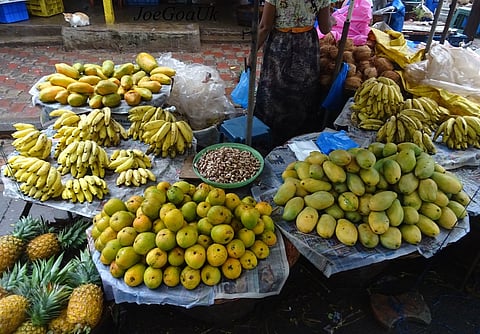 Knocksense Shorts | Mormugao Municipal Council to ensure dedicated space for fruit vendors in Vasco